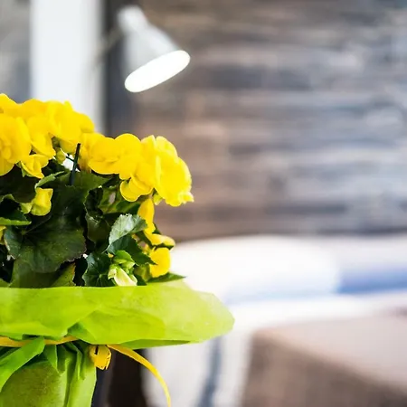 Bed & Breakfast Casadada 4*